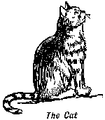 [Illustration: <i>The Cat</i>]