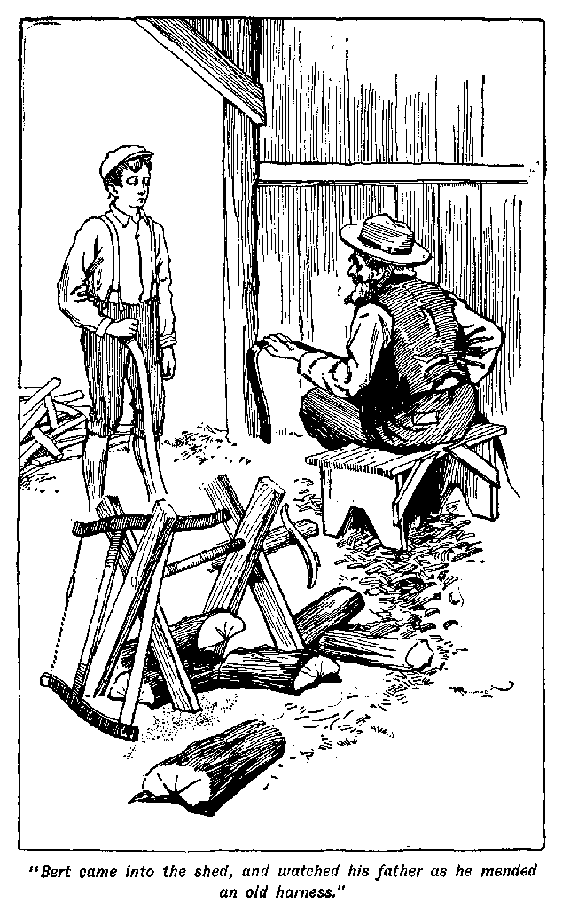 [Illustration: "<i>Bert came into the shed, and watched his father as he mended an old harness</i>."]