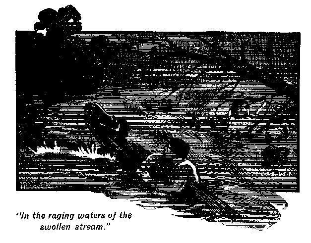 [Illustration: "<i>In the raging waters of the swollen stream</i>."]